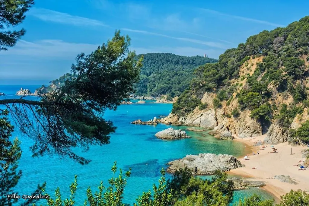 Acogedor Apartamento A 200M Del Mar Lloret de Mar